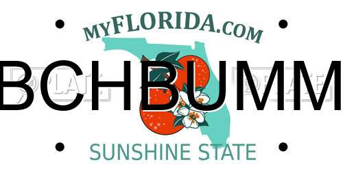 BCHBUMM Florida License Plate