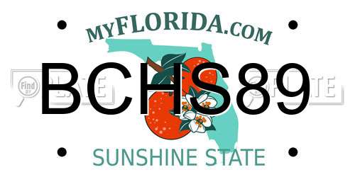 BCHS89 Florida License Plate