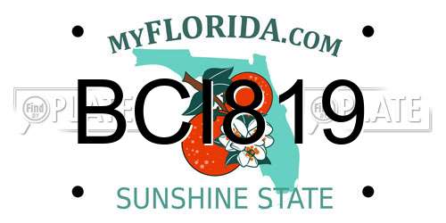 BCI819 Florida License Plate