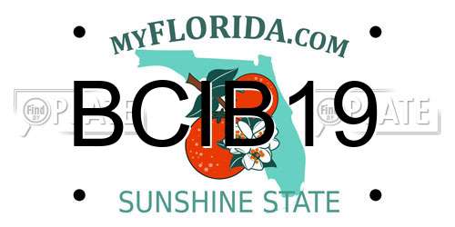 BCIB19 Florida License Plate