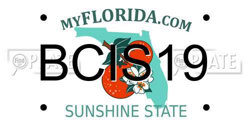 BCIS19 Florida License Plate