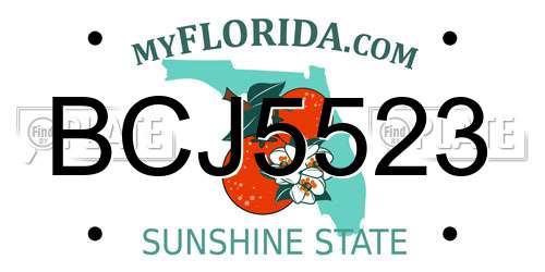 BCJ5523 Florida License Plate