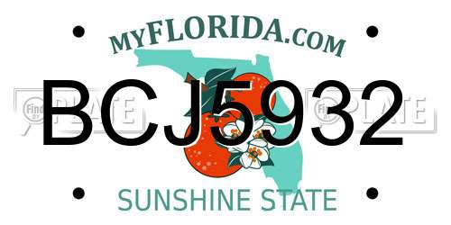 BCJ5932 Florida License Plate