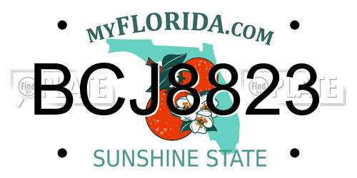 BCJ8823 Florida License Plate