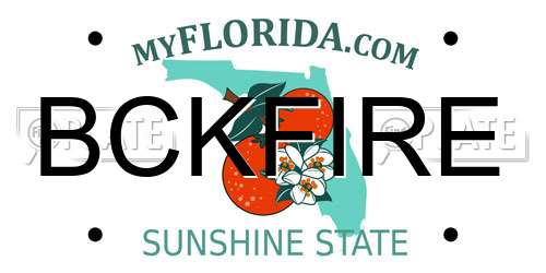 BCKFIRE Florida License Plate