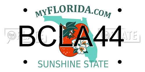 BCLA44 Florida License Plate