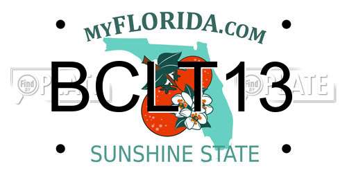 BCLT13 Florida License Plate