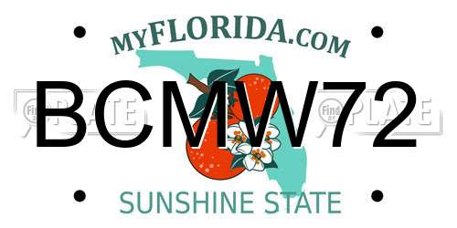 BCMW72 Florida License Plate