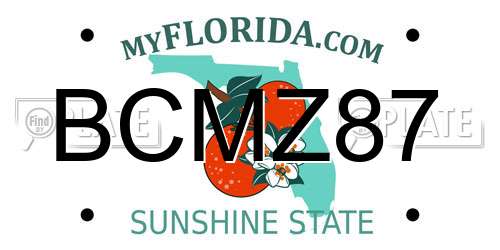 BCMZ87 Florida License Plate