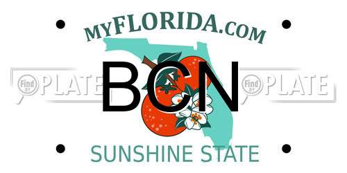 BCN Florida License Plate