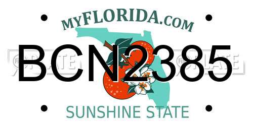 BCN2385 Florida License Plate