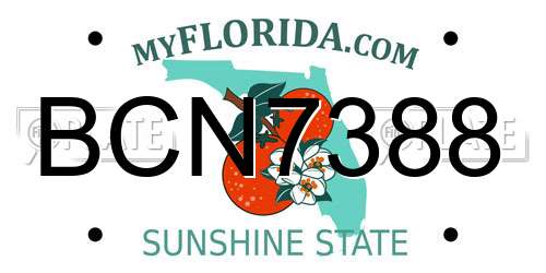 BCN7388 Florida License Plate