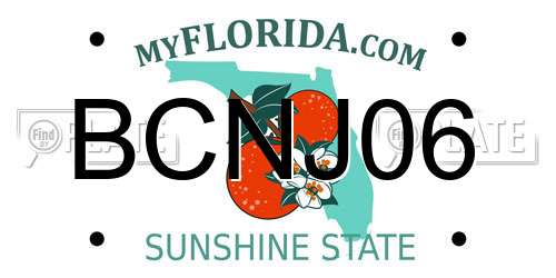 BCNJ06 Florida License Plate