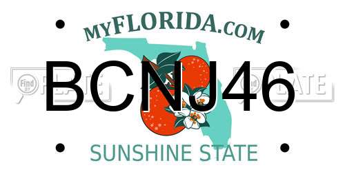 BCNJ46 Florida License Plate