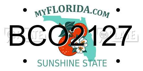 BCO2127 Florida License Plate