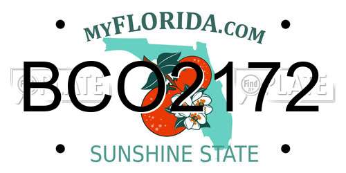 BCO2172 Florida License Plate