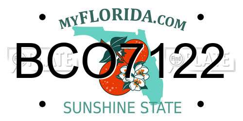 BCO7122 Florida License Plate