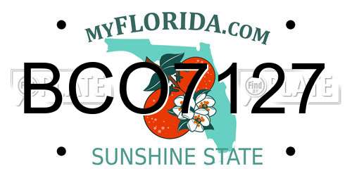 BCO7127 Florida License Plate