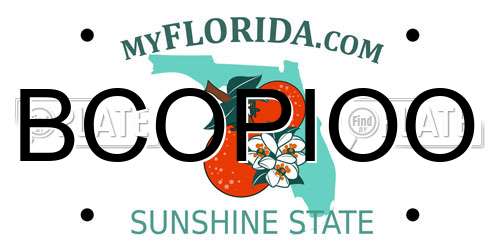 BCOPIOO Florida License Plate