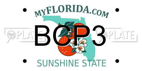 BCP3 Florida License Plate