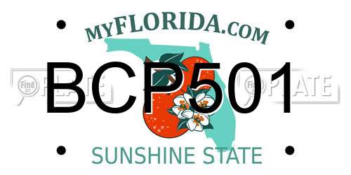 BCP501 Florida License Plate