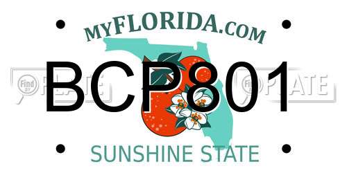 BCP801 Florida License Plate
