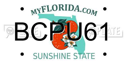 BCPU61 Florida License Plate