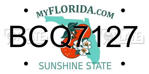 BCQ7127 Florida License Plate