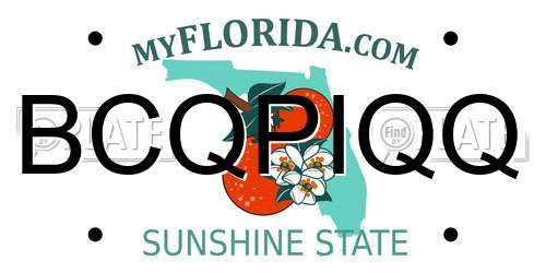 BCQPIQQ Florida License Plate