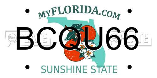BCQU66 Florida License Plate