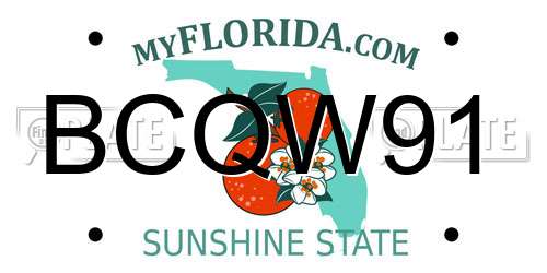 BCQW91 Florida License Plate