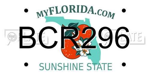 BCR296 Florida License Plate