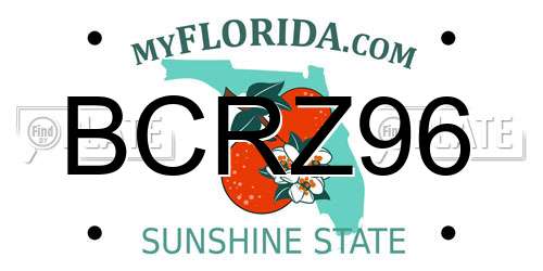BCRZ96 Florida License Plate