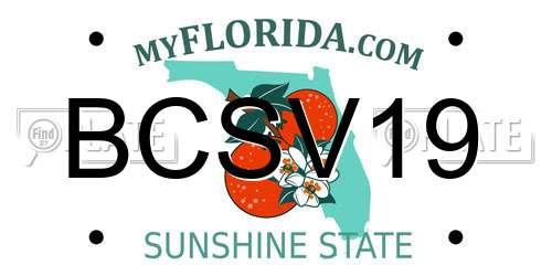 BCSV19 Florida License Plate