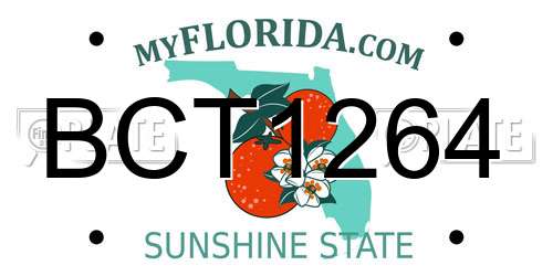 BCT1264 Florida License Plate