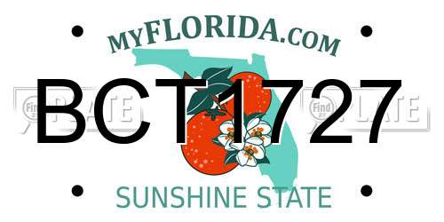 BCT1727 Florida License Plate