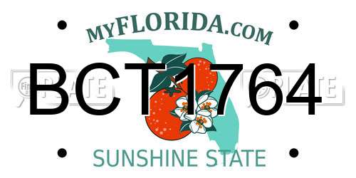 BCT1764 Florida License Plate
