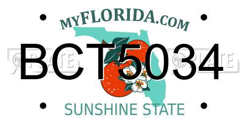 BCT5034 Florida License Plate