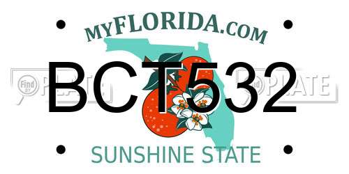 BCT532 Florida License Plate