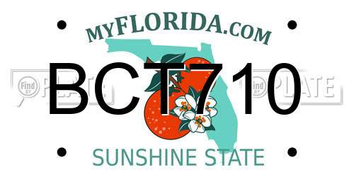 BCT710 Florida License Plate