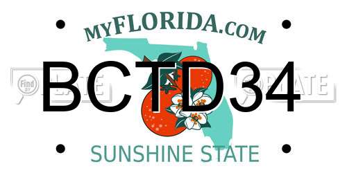 BCTD34 Florida License Plate