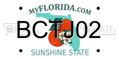 BCTJ02 Florida License Plate