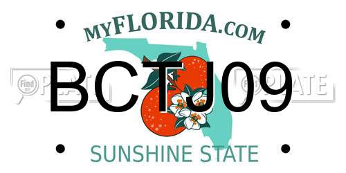 BCTJ09 Florida License Plate