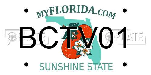 BCTV01 Florida License Plate