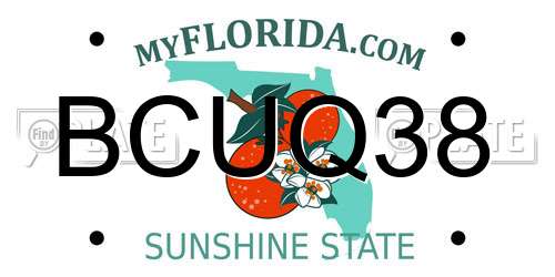 BCUQ38 Florida License Plate