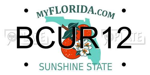 BCUR12 Florida License Plate