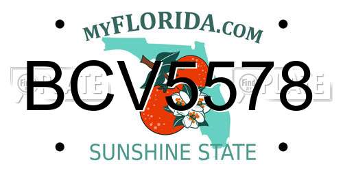 BCV5578 Florida License Plate