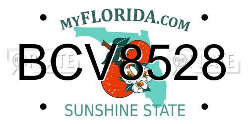 BCV8528 Florida License Plate