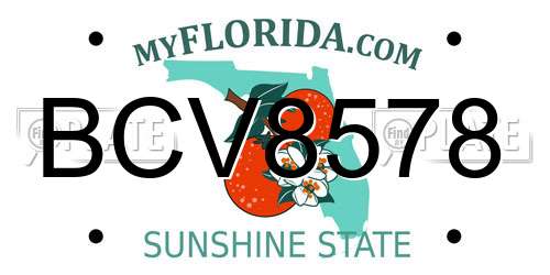 BCV8578 Florida License Plate