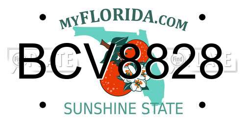 BCV8828 Florida License Plate